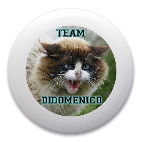 Design 304480 Disc Golf and Ultimate Discs