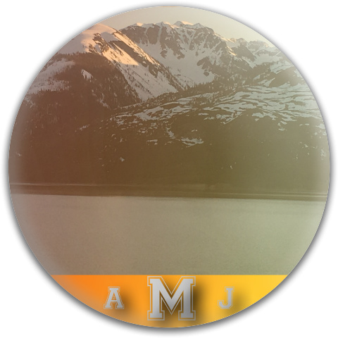 Design 316863 Disc Golf and Ultimate Discs