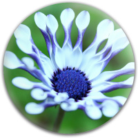 Design 317153