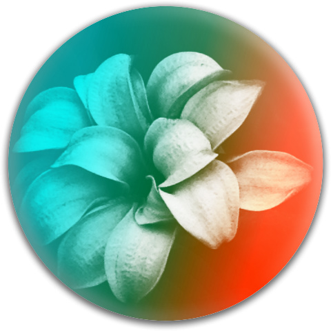 Design 317157 Disc Golf and Ultimate Discs