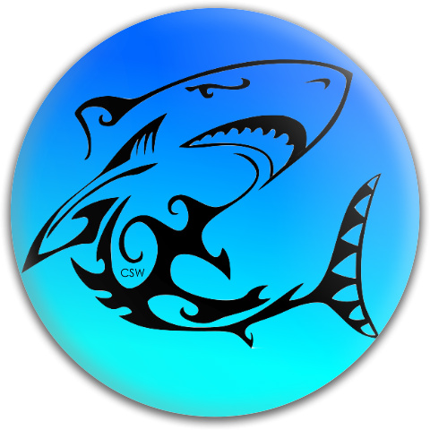 Design 318536 Disc Golf and Ultimate Discs
