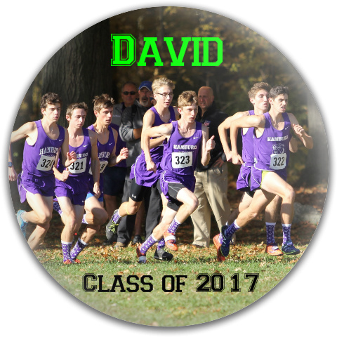Design 313120 Disc Golf and Ultimate Discs