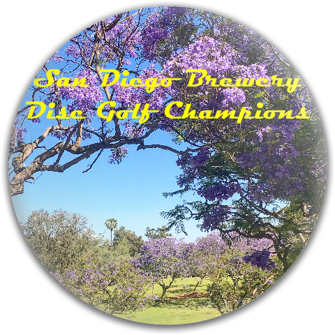 Design 314170 Disc Golf and Ultimate Discs
