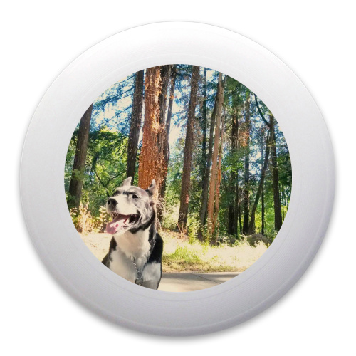 Design 323997 Disc Golf and Ultimate Discs