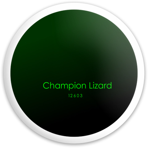 Design 325093 Disc Golf and Ultimate Discs