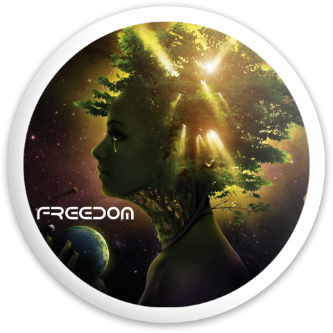 Design 327785 Disc Golf and Ultimate Discs