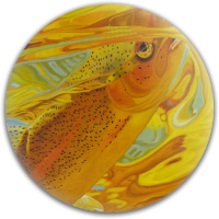 Design 329185 Disc Golf and Ultimate Discs Image