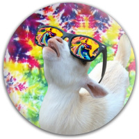 Design 340723 Disc Golf and Ultimate Discs Image