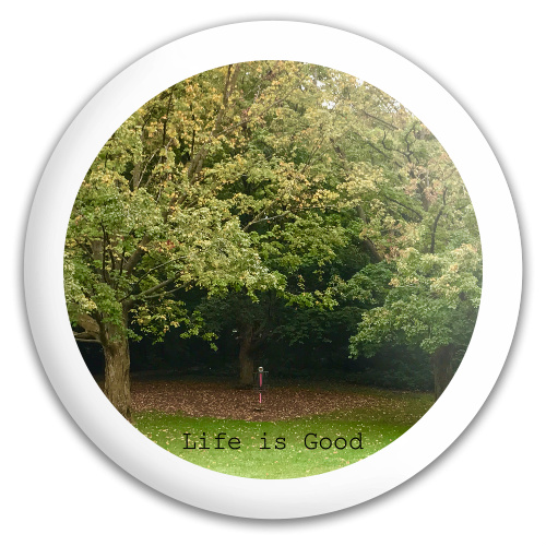 Design 343813 Disc Golf and Ultimate Discs
