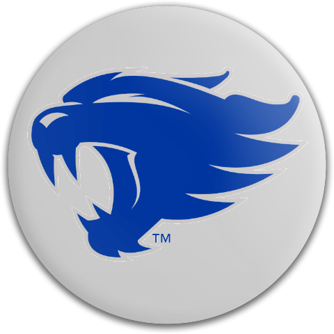 Design 338489 Disc Golf and Ultimate Discs