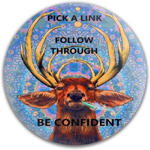 Design 385276 Disc Golf and Ultimate Discs