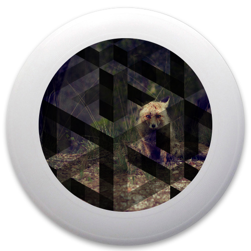 Design 385950 Disc Golf and Ultimate Discs