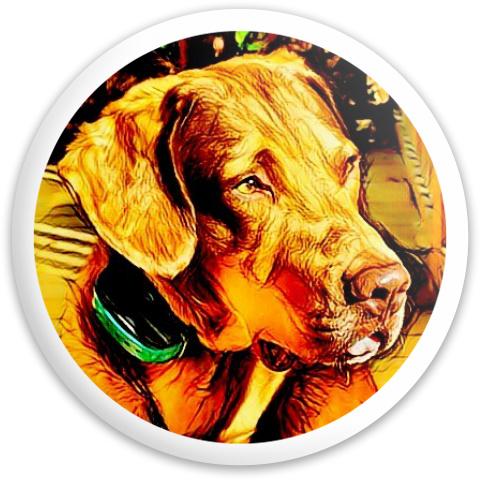 Design 386986 Disc Golf and Ultimate Discs