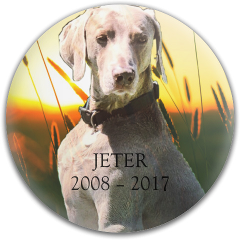 Design 382554 Disc Golf and Ultimate Discs