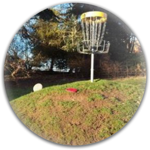 Design 442031 Disc Golf and Ultimate Discs