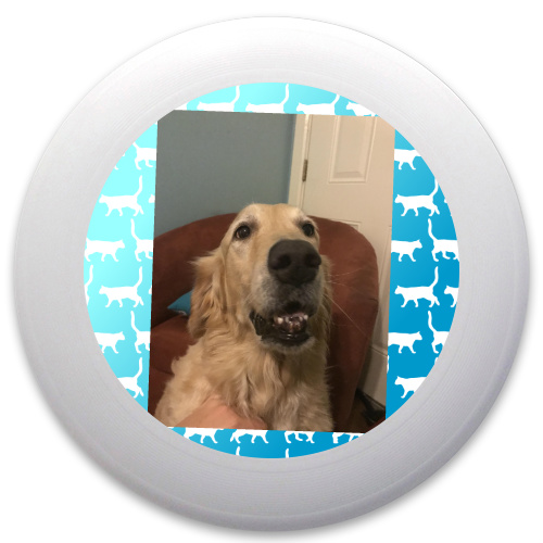 Design 446699 Disc Golf and Ultimate Discs