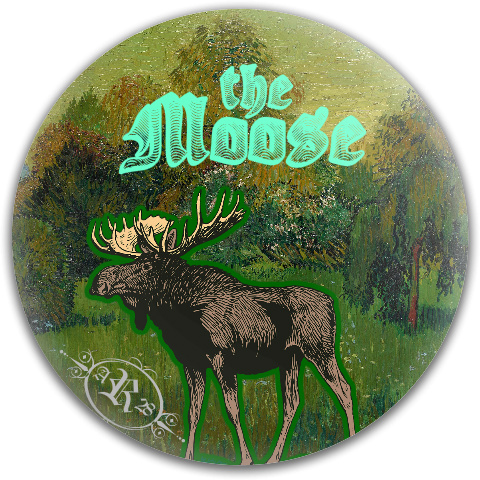 Design 451841 Disc Golf and Ultimate Discs