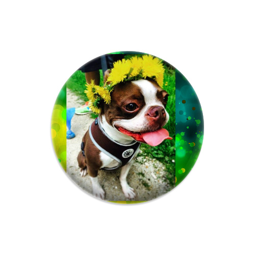 Design 452241 Disc Golf and Ultimate Discs