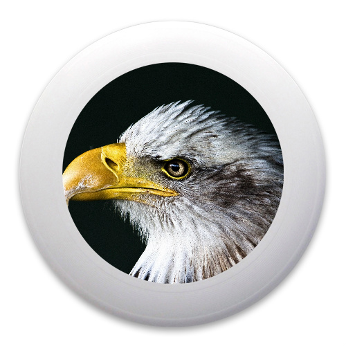 Design 395951 Disc Golf and Ultimate Discs