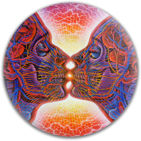 Design 397435 Disc Golf and Ultimate Discs