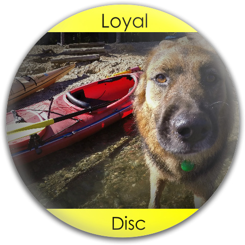 Design 408118 Disc Golf and Ultimate Discs