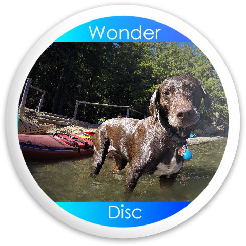 Design 408116 Disc Golf and Ultimate Discs