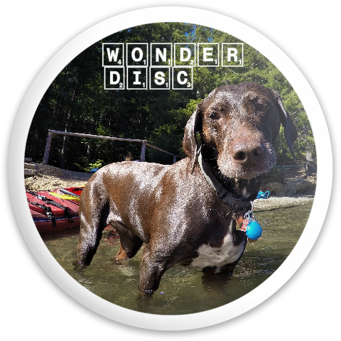 Design 408121 Disc Golf and Ultimate Discs