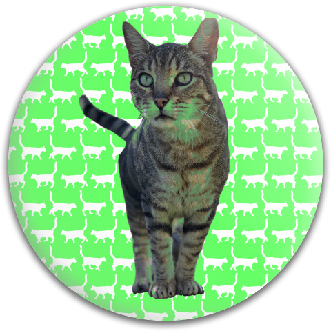 Design 418933 Disc Golf and Ultimate Discs