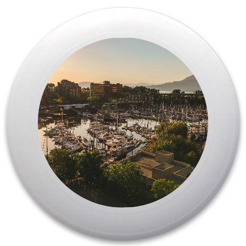 Design 416771 Disc Golf and Ultimate Discs