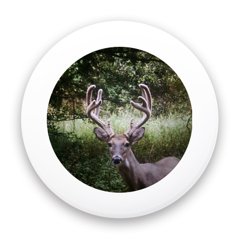 Design 426330 Disc Golf and Ultimate Discs