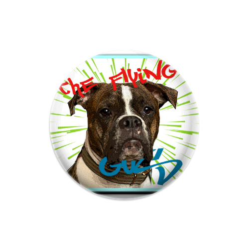 Design 496047 Disc Golf and Ultimate Discs