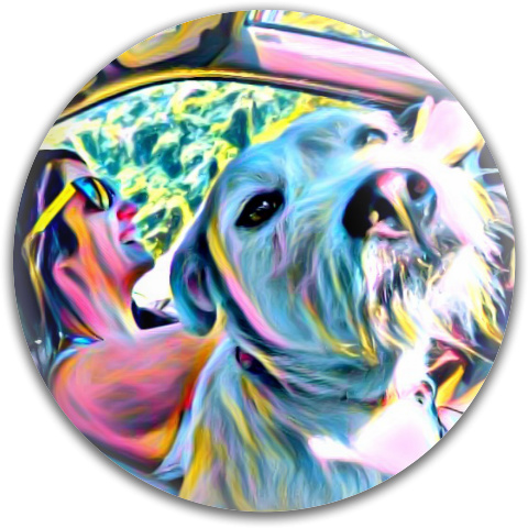Design 472983 Disc Golf and Ultimate Discs