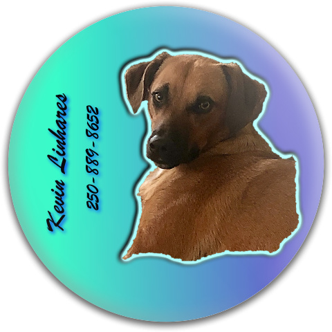 Design 485412 Disc Golf and Ultimate Discs