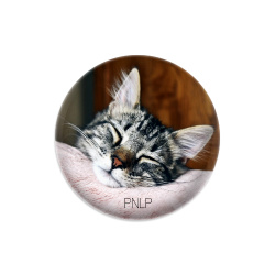 PNLP
