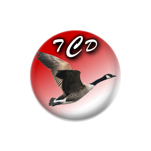Design 567262 Disc Golf and Ultimate Discs