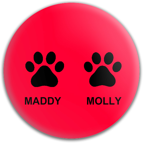 Design 534033 Disc Golf and Ultimate Discs
