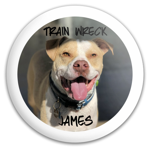 Design 529752 Disc Golf and Ultimate Discs