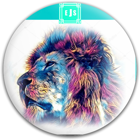 Design 540361 Disc Golf and Ultimate Discs