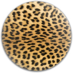 Design 540780 Disc Golf and Ultimate Discs Image