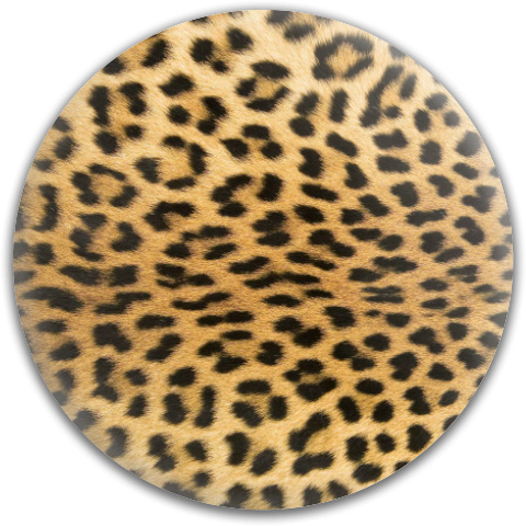 Design 540780 Disc Golf and Ultimate Discs
